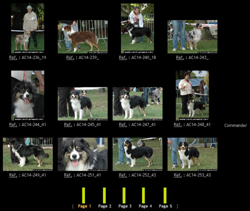 Photo de dmonstration expliquant comment acheter les photos de son chien via www.canin.newocx.com